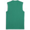 PUMA teamGOAL ärmelloses Trikot Herren 05 - sport green/puma white/power green L