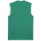 PUMA teamGOAL &auml;rmelloses Trikot Herren 05 - sport green/puma white/power green XXL