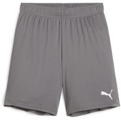 PUMA teamGOAL Shorts Kinder 13 - cast iron/puma white 116