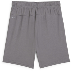 PUMA teamGOAL Shorts Kinder 13 - cast iron/puma white 116