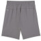 PUMA teamGOAL Shorts Kinder 13 - cast iron/puma white 128