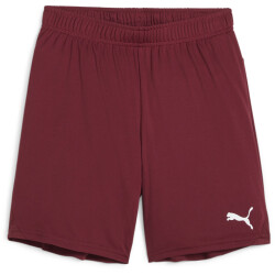 PUMA teamGOAL Shorts Kinder 09 - team regal red/puma...