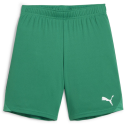 PUMA teamGOAL Shorts Kinder 05 - sport green/puma white 116