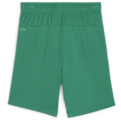 PUMA teamGOAL Shorts Kinder 05 - sport green/puma white 116