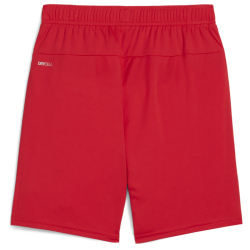 PUMA teamGOAL Shorts Kinder 01 - PUMA red/PUMA white 116