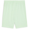 PUMA teamGOAL Shorts Herren 60 - fresh mint/puma black M