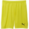 PUMA teamGOAL Shorts Herren 23 - fluro yellow pes/puma black S