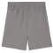 PUMA teamGOAL Shorts Herren 13 - cast iron/puma white S