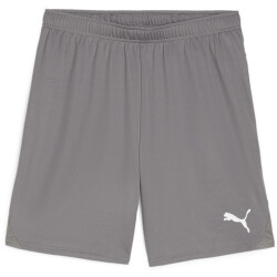 PUMA teamGOAL Shorts Herren 13 - cast iron/puma white M