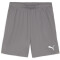 PUMA teamGOAL Shorts Herren 13 - cast iron/puma white M
