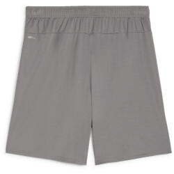 PUMA teamGOAL Shorts Herren 13 - cast iron/puma white 3XL