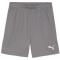 PUMA teamGOAL Shorts Herren 13 - cast iron/puma white 3XL