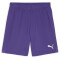 PUMA teamGOAL Shorts Herren 10 - team violet/puma white L
