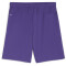 PUMA teamGOAL Shorts Herren 10 - team violet/puma white L