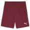 PUMA teamGOAL Shorts Herren 09 - team regal red/puma white S