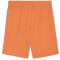 PUMA teamGOAL Shorts Herren 08 - rickie orange/puma white S