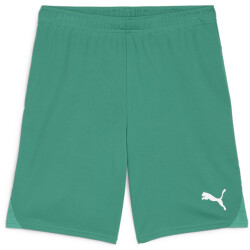 PUMA teamGOAL Shorts Herren 05 - sport green/puma white M