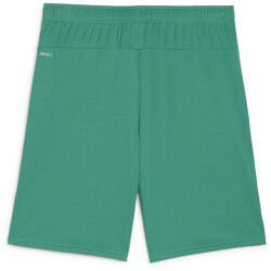 PUMA teamGOAL Shorts Herren 05 - sport green/puma white M