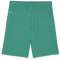 PUMA teamGOAL Shorts Herren 05 - sport green/puma white M