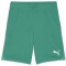 PUMA teamGOAL Shorts Herren 05 - sport green/puma white 3XL