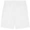 PUMA teamGOAL Shorts Herren 04 - PUMA white/PUMA black XL