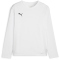 PUMA teamGOAL langarm Trikot Kinder 04 - PUMA white/PUMA black/feather gray 116