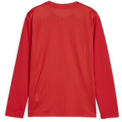 PUMA teamGOAL langarm Trikot Kinder 01 - PUMA red/PUMA...