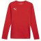PUMA teamGOAL langarm Trikot Herren 01 - PUMA red/PUMA white/fast red 3XL