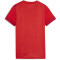 PUMA teamGOAL Matchday Trikot Damen 01 - PUMA red/PUMA white/fast red M