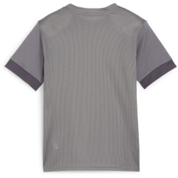 PUMA teamGOAL Matchday Trikot Kinder 13 - cast iron/puma...