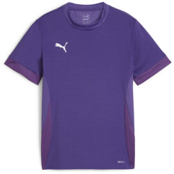PUMA teamGOAL Matchday Trikot Kinder 10 - team...
