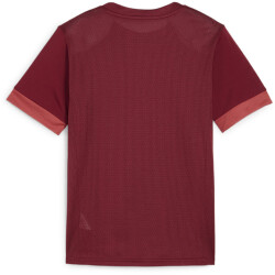 PUMA teamGOAL Matchday Trikot Kinder 09 - team regal...