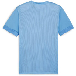 PUMA teamGOAL Matchday Trikot Herren 18 - team light...