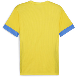 PUMA teamGOAL Matchday Trikot Herren 17 - faster...