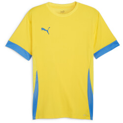 PUMA teamGOAL Matchday Trikot Herren 17 - faster...