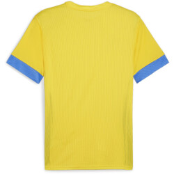 PUMA teamGOAL Matchday Trikot Herren 17 - faster...
