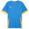 PUMA teamGOAL Matchday Trikot Herren 16 - electric blue lemonade/faster yellow M
