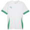 PUMA teamGOAL Matchday Trikot Herren 15 - PUMA white/sport green/sport green XXL