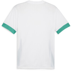 PUMA teamGOAL Matchday Trikot Herren 15 - PUMA...