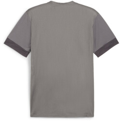PUMA teamGOAL Matchday Trikot Herren 13 - cast iron/puma...
