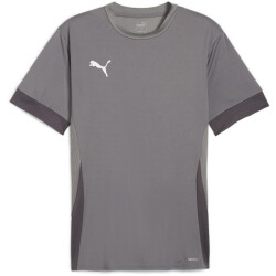 PUMA teamGOAL Matchday Trikot Herren 13 - cast iron/puma...