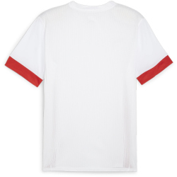 PUMA teamGOAL Matchday Trikot Herren 11 - PUMA white/PUMA...