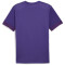 PUMA teamGOAL Matchday Trikot Herren 10 - team violet/puma white/purple pop M