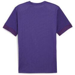 PUMA teamGOAL Matchday Trikot Herren 10 - team...