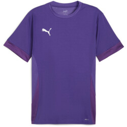 PUMA teamGOAL Matchday Trikot Herren 10 - team...
