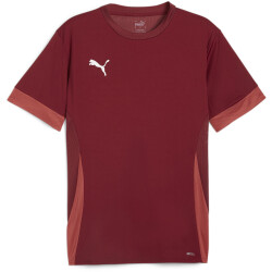 PUMA teamGOAL Matchday Trikot Herren 09 - team regal...