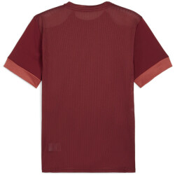 PUMA teamGOAL Matchday Trikot Herren 09 - team regal...
