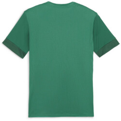PUMA teamGOAL Matchday Trikot Herren 05 - sport...