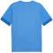 PUMA teamGOAL Matchday Trikot Herren 02 - electric blue lemonade/puma white/puma team royal M