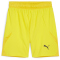 PUMA teamFINAL Shorts Herren 07 - faster yellow/puma black/sport yellow S